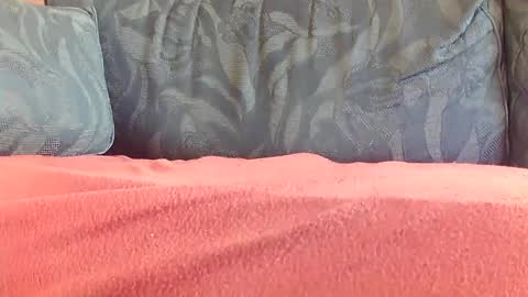 zevioo77 online show from 3, 1, 2025