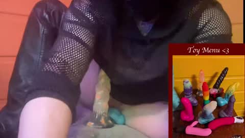 Ziggy online show from 6, 1, 2025