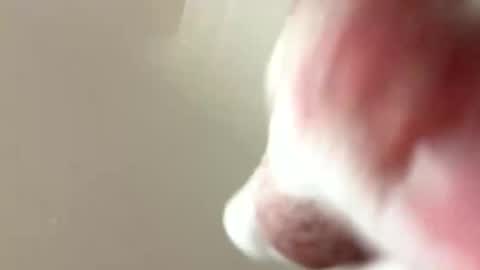 ziggyyz online show from 5, 3, 2025
