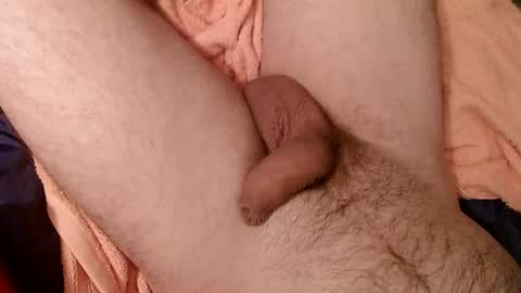 Snapshot of zobzob67 chatting on 2, 2, 2025 Tom online show from 2, 2, 2025