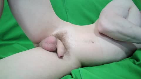 Zordy online show from 3, 1, 2025