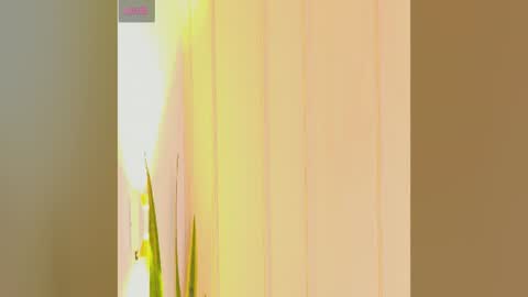 Snapshot of zuzu_sweet chatting on 25, 7, 2026 Zara online show from 25, 7, 2026