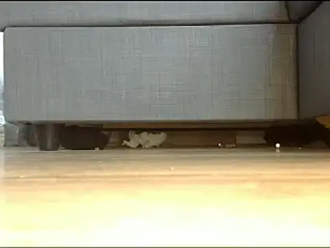 Squirtlady38 online show from 13, 2, 2025