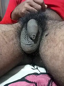 Snapshot of Nishu12356g chatting on 13, 1, 2025 Nishu12356g online show from 13, 1, 2025