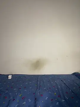 BandySL online show from 13, 12, 2024