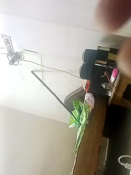 Rupok dulavai online show from 26, 10, 2025