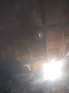 Spoonish online show from 11, 1, 2026