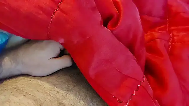 Snapshot of Ettarak chatting on 8, 2, 2026 Ettarak online show from 8, 2, 2026