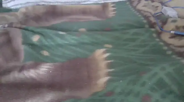 zorritasuperhot online show from 9, 2, 2025