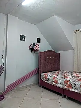 Rossestoner online show from 16, 12, 2025