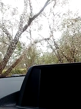 Snapshot of stiffandlubed@xh chatting on 21, 10, 2025 stiffandlubedxh online show from 21, 10, 2025