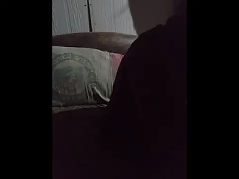 pauloandres online show from 29, 5, 2026