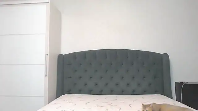 Marselle Laker online show from 12, 12, 2024