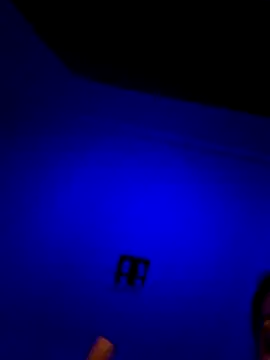 moniqque online show from 3, 12, 2025