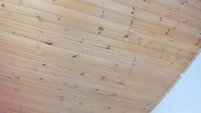 Snapshot of cristal__hot_1 chatting on 1, 2, 2025 cristal hot 1 online show from 1, 2, 2025