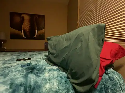 Bwcjoshbanks online show from 31, 1, 2025