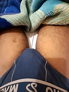 ANIMEL 2 online show from 10, 10, 2025