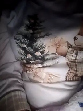 Snapshot of bruna_safadinhaa chatting on 1, 3, 2026 bruna safadinhaa online show from 1, 3, 2026