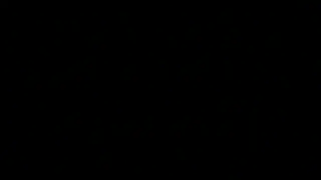 greydesire online show from 10, 12, 2024