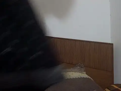 Snapshot of shekira99 chatting on 1, 3, 2026 shekira99 online show from 1, 3, 2026