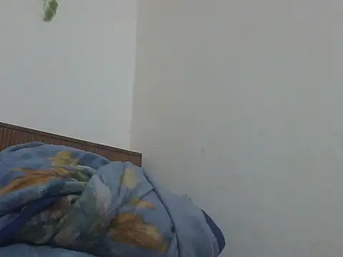 shekira99 online show from 17, 4, 2026