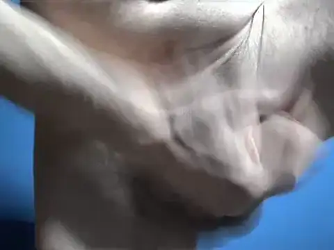 Snapshot of Pol8822 chatting on 4, 3, 2026 Pol8822 online show from 4, 3, 2026