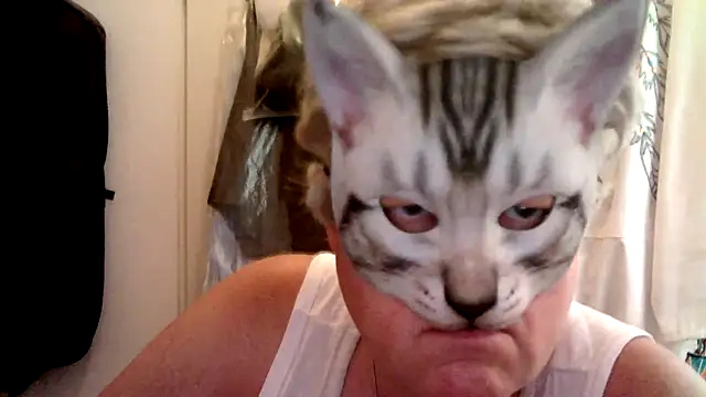 Snapshot of Sigorius chatting on 24, 7, 2026 Sigorius online show from 24, 7, 2026