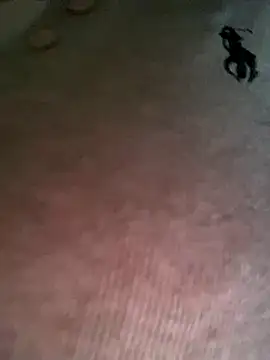 Ruby bear online show from 19, 12, 2025