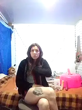 Cameron puppy online show from 22, 3, 2025