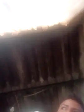 dantero online show from 14, 1, 2025