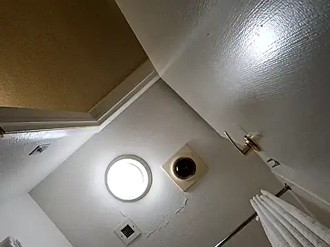 Treemandude online show from 29, 10, 2025