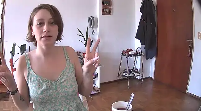 stupid babybird online show from 28, 12, 2024