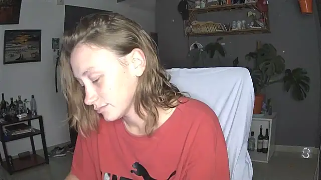 stupid babybird online show from 2, 4, 2026