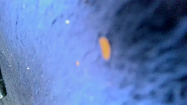 bigcocktat2dude603 online show from 6, 12, 2024