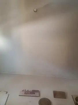 gala2 online show from 6, 3, 2025