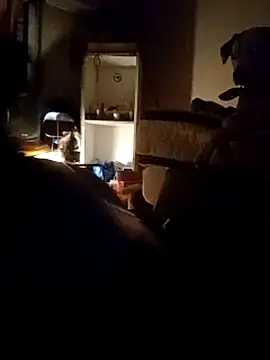 gala2 online show from 14, 3, 2025