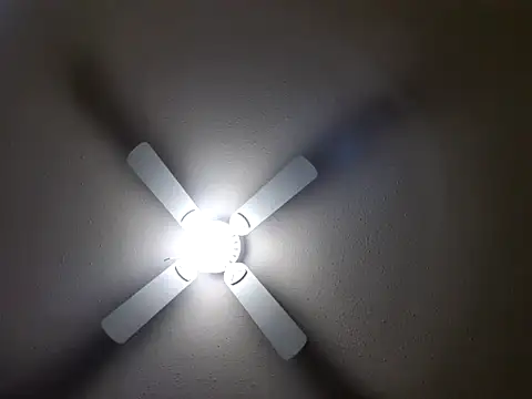 EXOTICLEXXXI online show from 26, 1, 2025