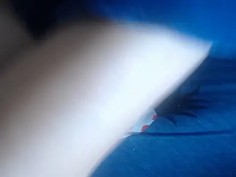 69loveme09 online show from 4, 2, 2025