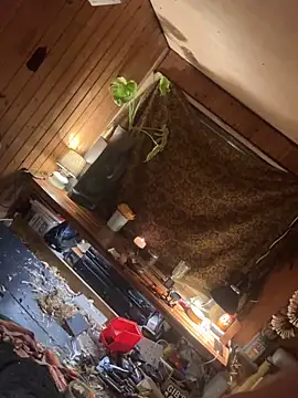 SexToyOnely online show from 6, 2, 2026