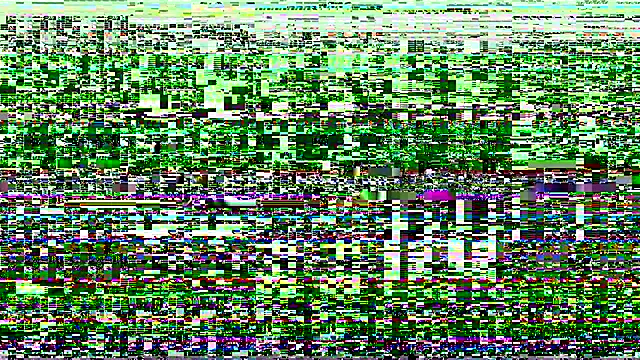 lilboygonewild online show from 15, 11, 2025