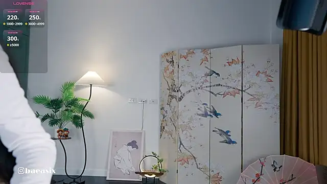 Snapshot of baeasian chatting on 13, 9, 2025 baeasian online show from 13, 9, 2025