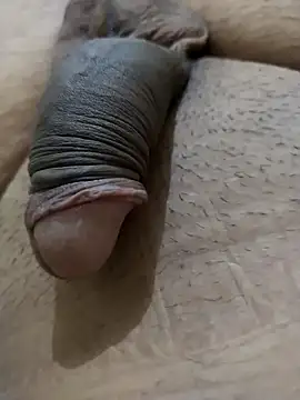 Snapshot of Dog546i chatting on 8, 9, 2025 Dog546i online show from 8, 9, 2025