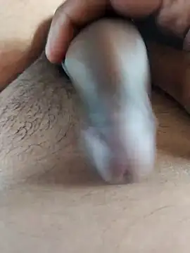 Snapshot of Dog546i chatting on 20, 9, 2025 Dog546i online show from 20, 9, 2025