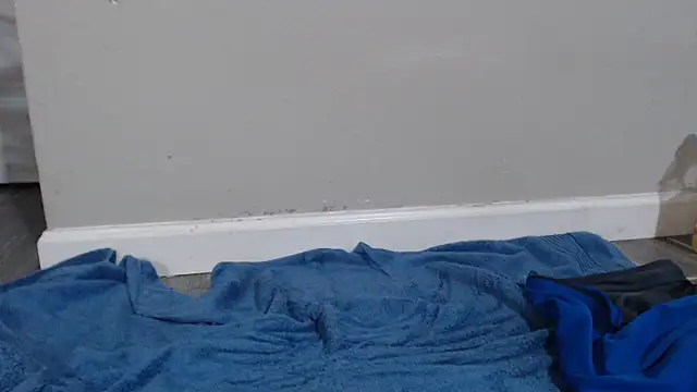 Snapshot of Dogz_n_daugthers chatting on 17, 12, 2024 Dogz n daugthers online show from 17, 12, 2024