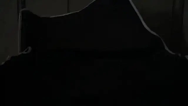 Dogz n daugthers online show from 1, 4, 2026