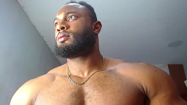 George Dominator online show from 6, 11, 2025