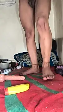 trans511 online show from 27, 11, 2025