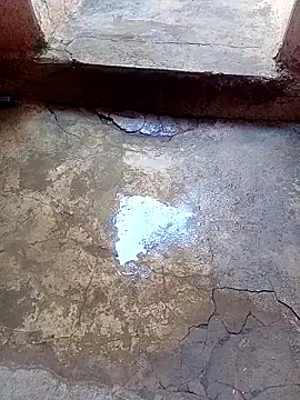 Snapshot of rau_4455 chatting on 24, 11, 2025 rau 4455 online show from 24, 11, 2025