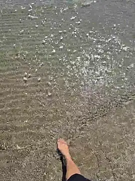 SexyErola27 online show from 24, 3, 2026