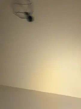 Guitccch online show from 17, 1, 2026